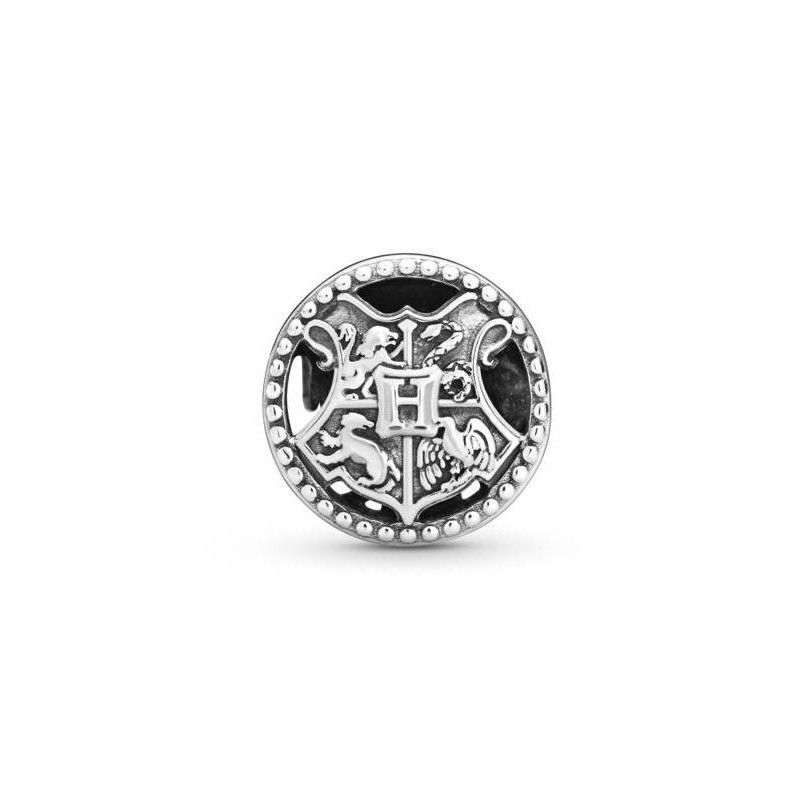 Harry Potter Hogwarts School Charm